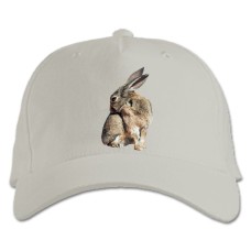 Baseball cap with Print Wild Rabbit Scratches - white