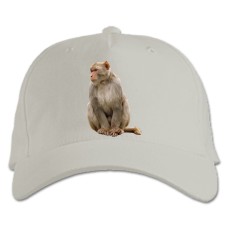 Baseball cap with Print White Monkey - white