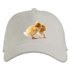Baseball cap with Print Two Small Ducks - white