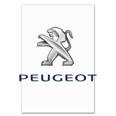 Notebooks A5 with print Logo Peugeot -