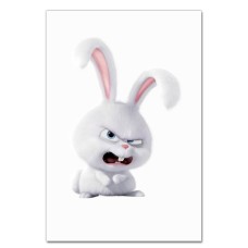 Notebooks A5 with print The Secret Life Of Pets Snowball -