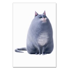 Notebooks A5 with print The Secret Life Of Pets Chloe Cat -