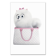 Notebooks A5 with print The Secret Life Of Pets Gidget Bag -