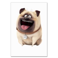 Notebooks A5 with print The Secret Life Of Pets Mel -