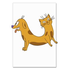 Notebooks A5 with print Catdog Funny -
