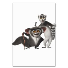 Notebooks A5 with print Madagascar Lemurs -