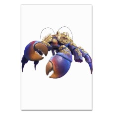 Notebooks A5 with print Moana Tomatoa -