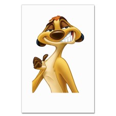 Notebooks A5 with print Timon And Pumbaa Timon Face -