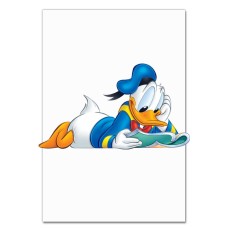 Notebooks A5 with print Disney Donald Fauntleroy Duck -