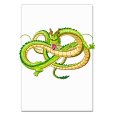 Notebooks A5 with print Dragon Ball Big Dragon -