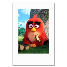 Notebooks A5 with print Angry Birds Red Bird With Sandwiches -