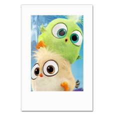 Notebooks A5 with print Angry Birds Little -