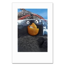 Notebooks A5 with print Angry Birds Black -