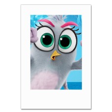 Notebooks A5 with print Angry Birds Girl -