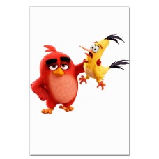 Notebooks A5 with print Angry Birds Friends -
