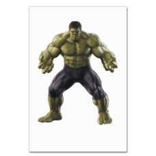 Notebooks A5 with print Marvel Hulk Hero -