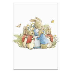 Notebooks A5 with print Peter Rabbit Heroes -