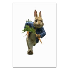 Notebooks A5 with print Peter Rabbit Hero -