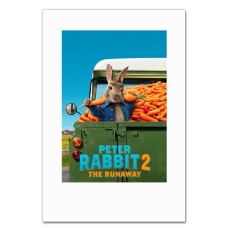 Notebooks A5 with print Peter Rabbit Theme -