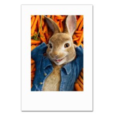 Notebooks A5 with print Peter Rabbit Main Hero -