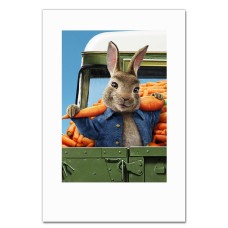 Notebooks A5 with print Peter Rabbit Cute Hero -