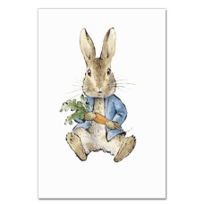 Notebooks A5 with print Peter Rabbit Hero Cute Print -