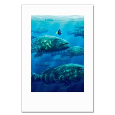 Блокнот А5 с принтом В Поисках Немо И Дори Море -