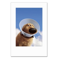 Notebooks A5 with print Up Dog Dug -