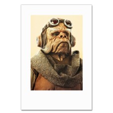Notebooks A5 with print The Mandalorian Kuiil -