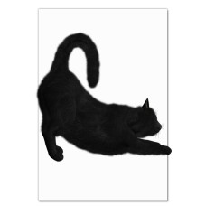 Notebooks A5 with print Funny Black Cat -