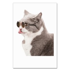 Notebooks A5 with print Trendy Gray And White Cat -