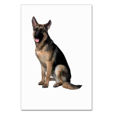 Notebooks A5 with print German Shepherd -