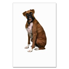 Notebooks A5 with print Dog Sits -