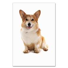 Notebooks A5 with print Cute Corgi -
