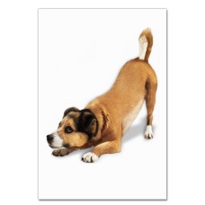 Notebooks A5 with print Cute Dog -