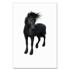Notebooks A5 with print Beautiful Black Horse -