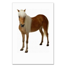 Notebooks A5 with print Hors With Funny Mane -