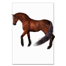Notebooks A5 with print Strong Brown Horse -