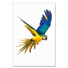 Notebooks A5 with print Blue And Yellow Parrot Flies -