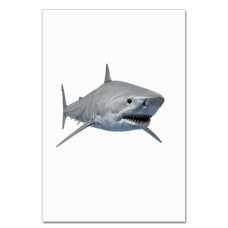 Notebooks A5 with print White Head Of Shark -