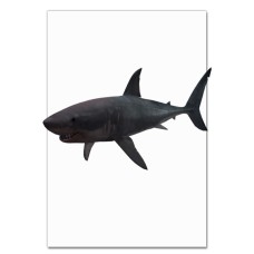 Notebooks A5 with print Evil Shark -