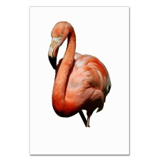 Notebooks A5 with print Cute Flamingo -