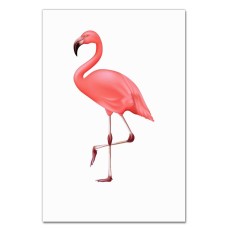 Notebooks A5 with print Art Of Flamingo -