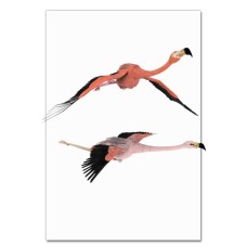 Notebooks A5 with print Two Flamingos Fly -