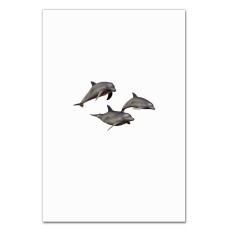 Notebooks A5 with print Three Grey Dolphins -