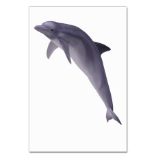 Notebooks A5 with print Violet Dolphin -