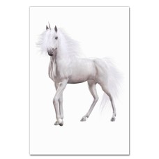 Notebooks A5 with print White Unicorn -