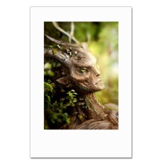Notebooks A5 with print The Elder Scrolls SprIGGan -