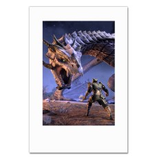 Notebooks A5 with print The Elder Scrolls Hero Dragon -