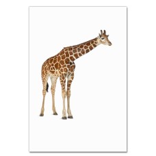 Notebooks A5 with print Giraffe With Trailing Neck -